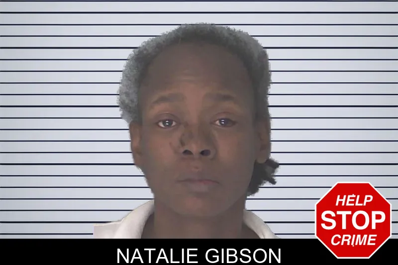 Natalie Gibson mugshot