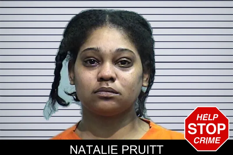 Natalie Pruitt mugshot – Effingham County , Georgia Natalie Pruitt mugshot