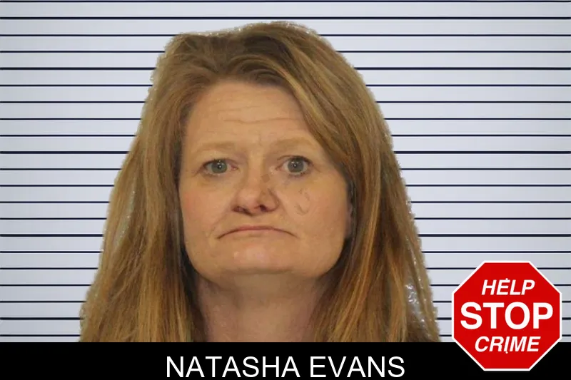 Natasha Evans mugshot – Carroll County , Georgia Natasha Evans mugshot