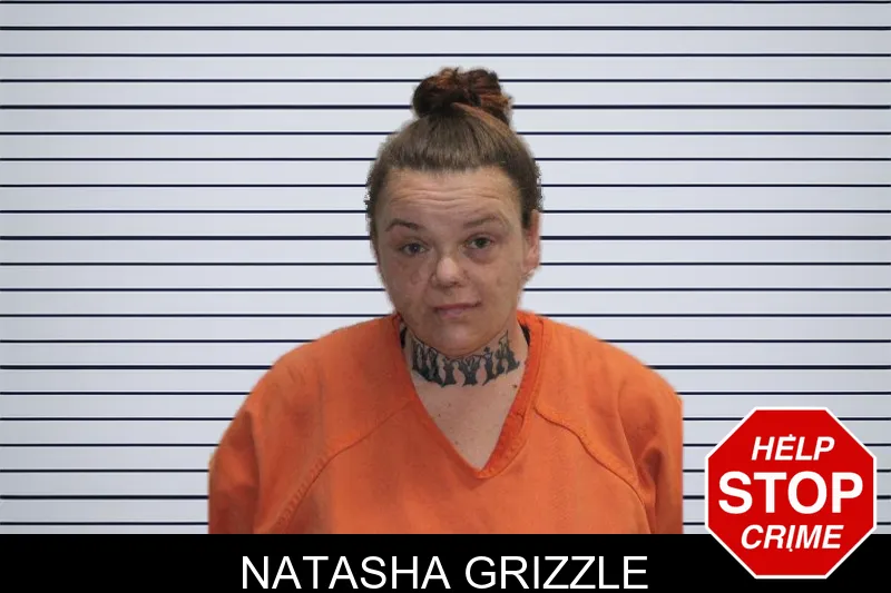 Natasha Grizzle mugshot – Murray County , Georgia Natasha Grizzle mugshot