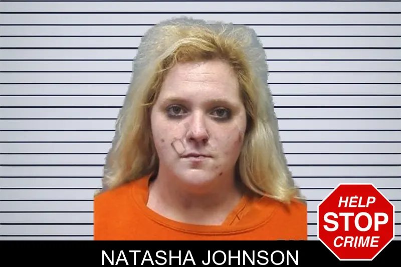 Natasha Johnson mugshot