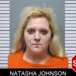 Natasha Johnson mugshot – Cherokee County , Georgia Natasha Johnson mugshot