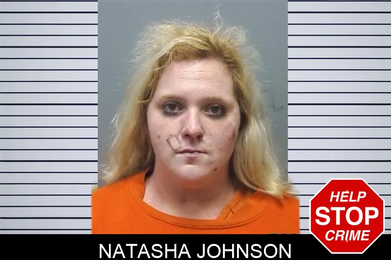 Natasha Johnson mugshot