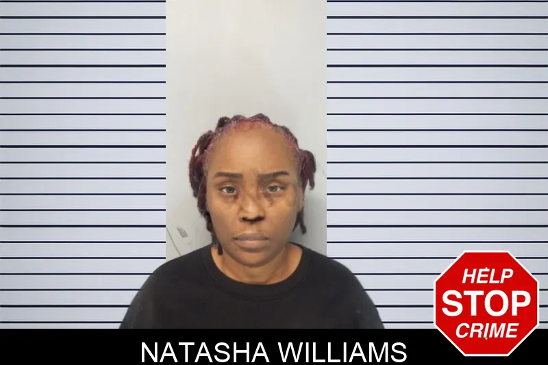 Natasha Williams mugshot