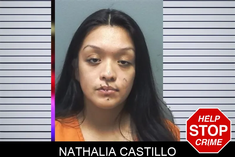 Nathalia Castillo mugshot – Cherokee County , Georgia Nathalia Castillo mugshot