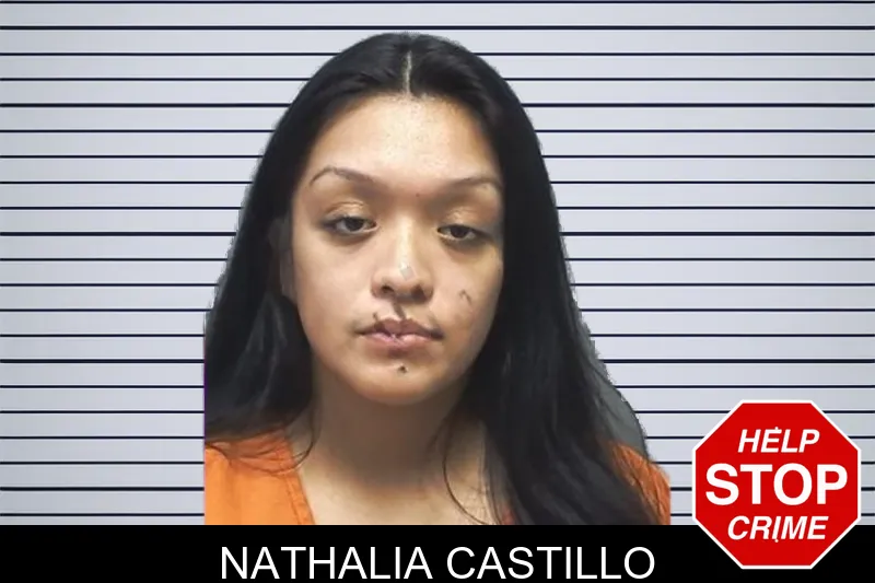 Nathalia Castillo mugshot
