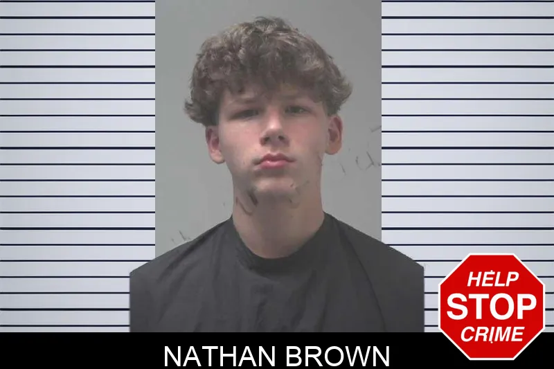 Nathan Brown mugshot – Coweta County , Georgia Nathan Brown mugshot