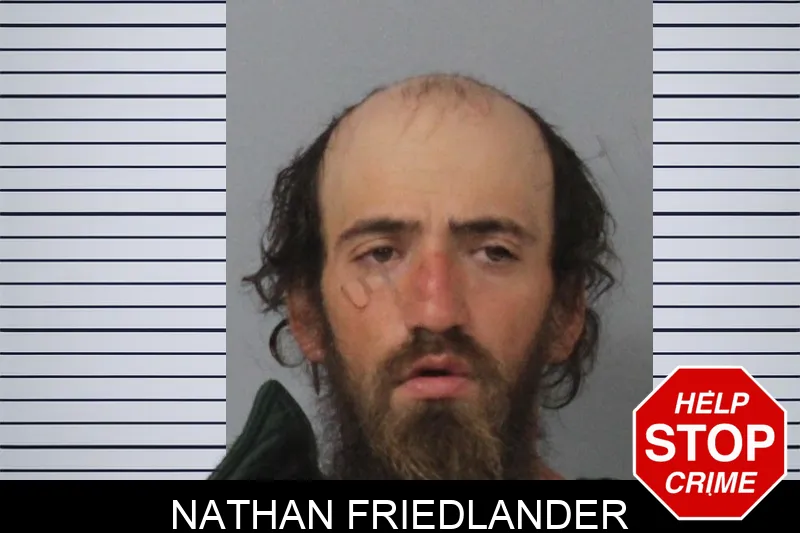 Nathan Friedlander mugshot