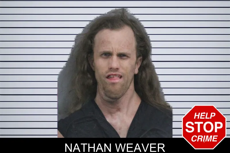 Nathan Weaver mugshot – Catoosa County , Georgia Nathan Weaver mugshot