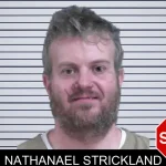 Nathanael Strickland mugshot