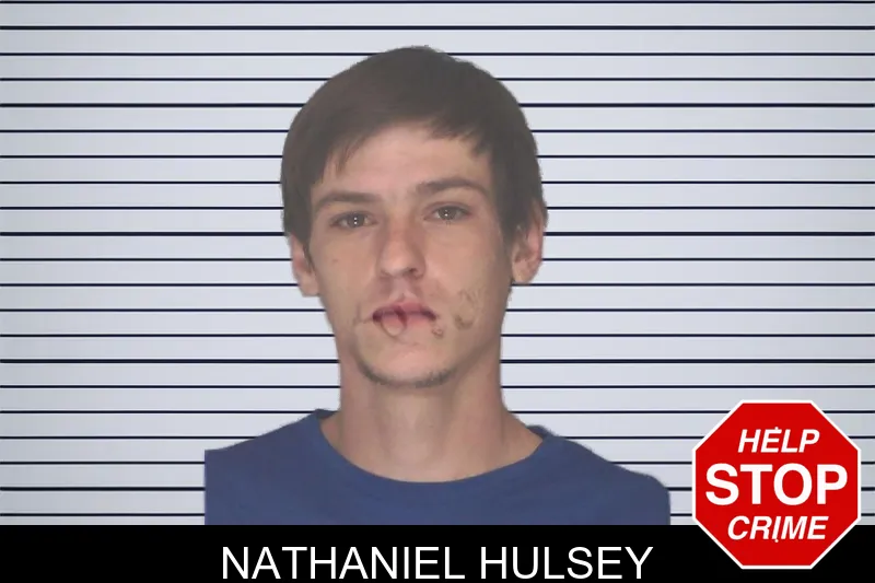 Nathaniel Hulsey mugshot
