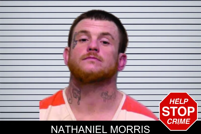 Nathaniel Morris mugshot – Bartow County , Georgia Nathaniel Morris mugshot