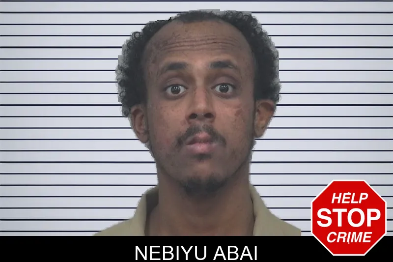 Nebiyu Abai mugshot – Gwinnett County , Georgia Nebiyu Abai mugshot