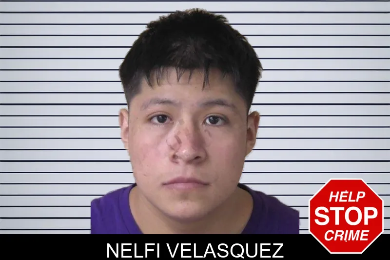 Nelfi Velasquez mugshot