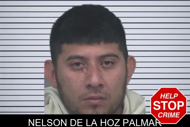 Nelson De La Hoz Palmar