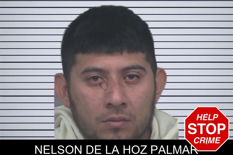Nelson De La Hoz Palmar mugshot