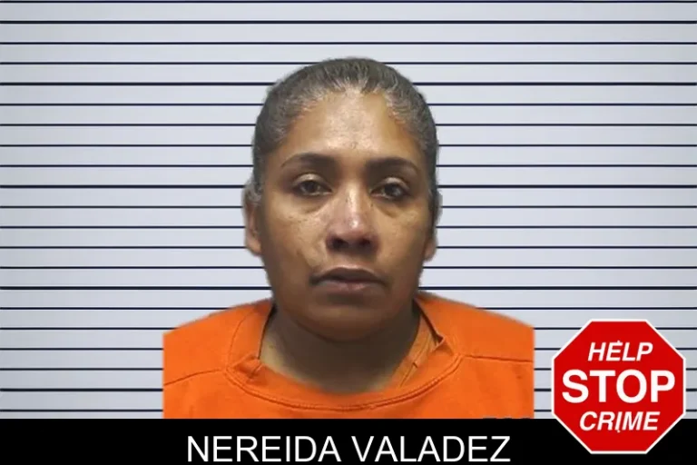 Nereida Valadez mugshot – Cherokee County , Georgia Nereida Valadez