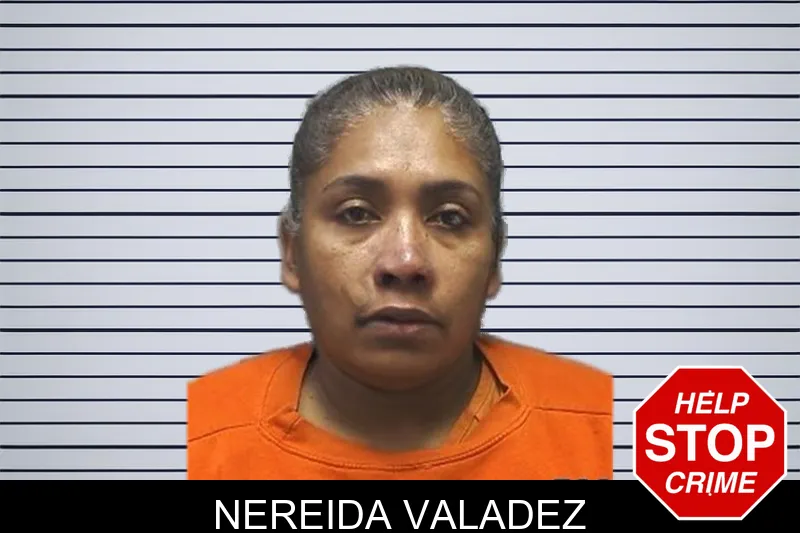 Nereida Valadez mugshot
