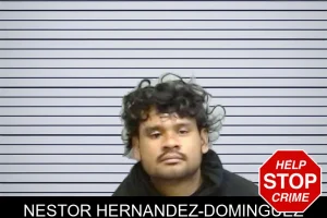 Nestor Hernandez-Dominguez mugshot