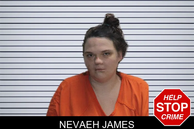 Nevaeh James mugshot
