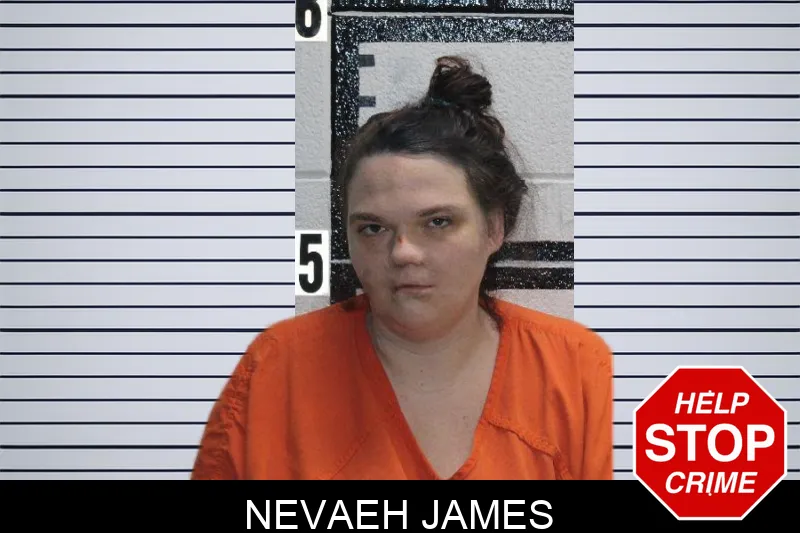 Nevaeh James mugshot – Murray County , Georgia Nevaeh James mugshot