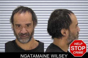 Ngatamaine Wilsey mugshot