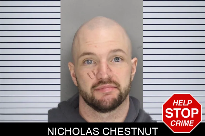 Nicholas Chestnut mugshot – Cobb County , Georgia Nicholas Chestnut mugshot