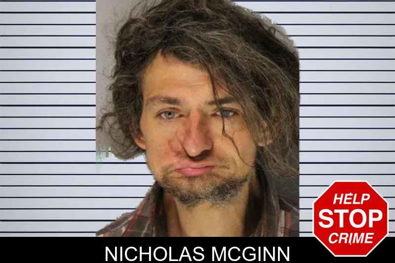 Nicholas McGinn mugshot