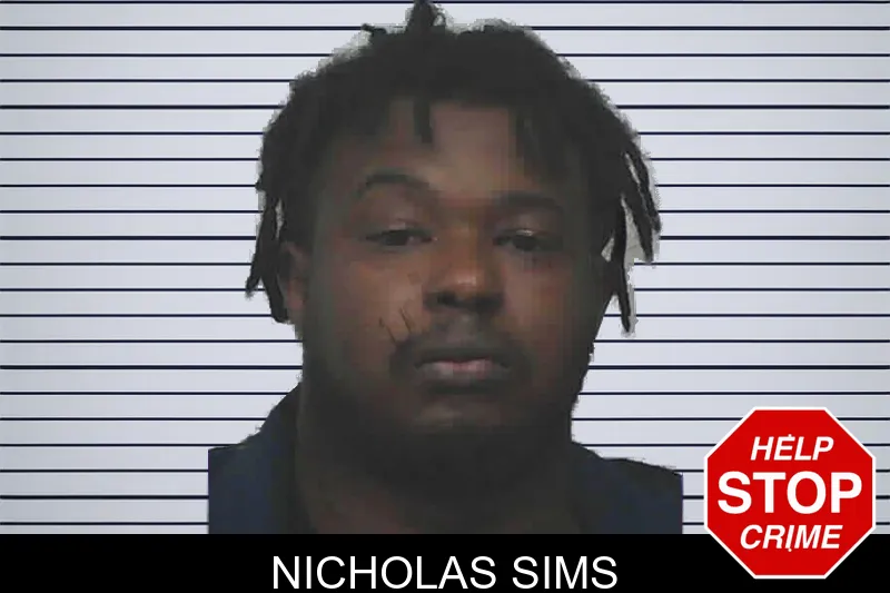 Nicholas Sims mugshot – Lanier County , Georgia Nicholas Sims mugshot