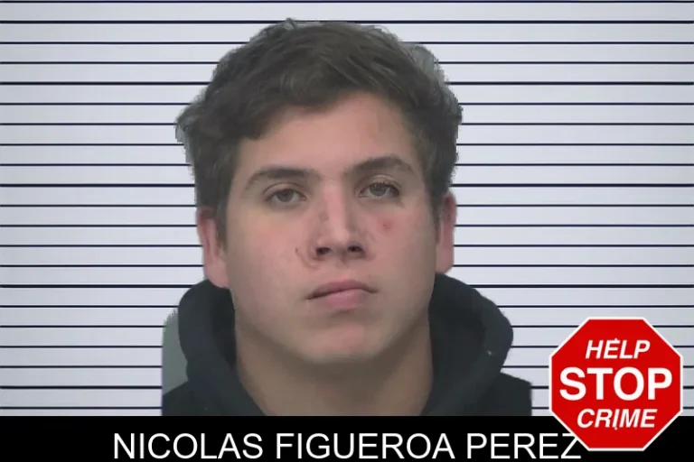 Nicolas Figueroa Perez