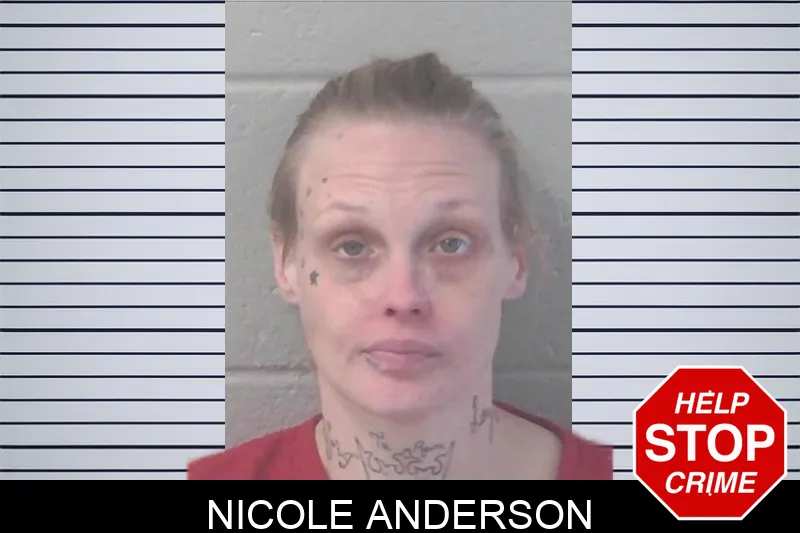 Nicole Anderson mugshot – Newton County , Georgia Nicole Anderson mugshot