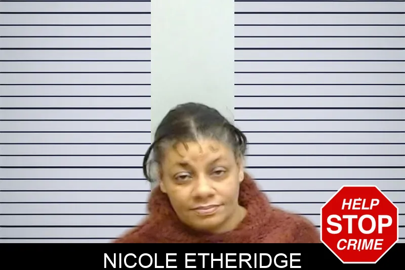 Nicole Etheridge mugshot