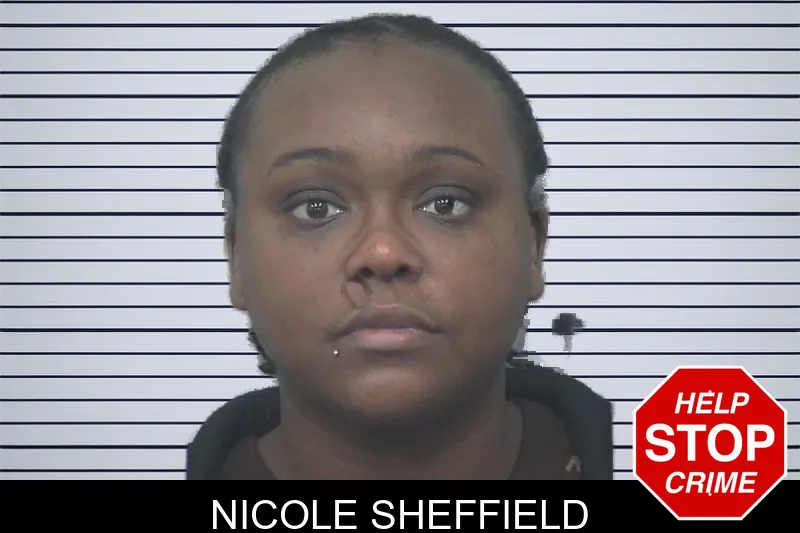 Nicole Sheffield mugshot
