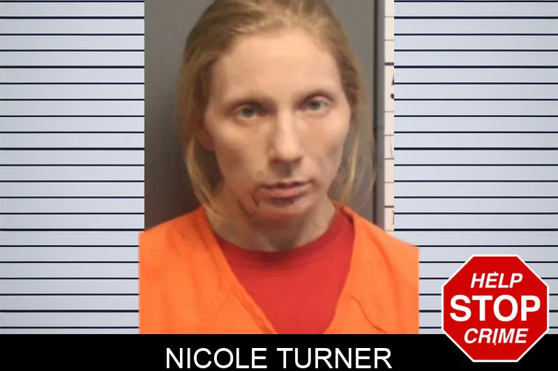 Nicole Turner mugshot