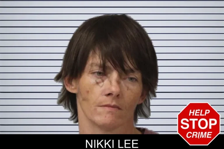 Nikki Lee mugshot – Mcintosh County , Georgia Nikki Lee