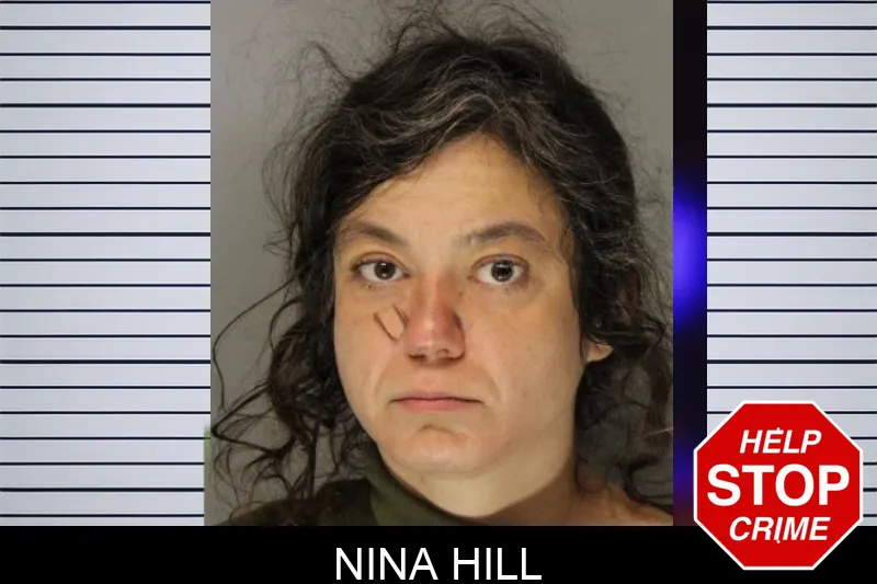 Nina Hill mugshot – Hall County , Georgia Nina Hill mugshot