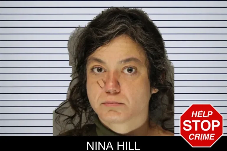 Nina Hill