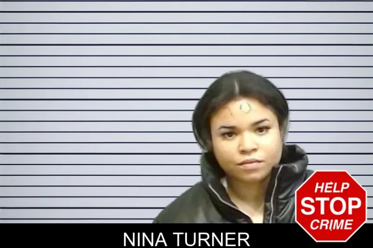 Nina Turner mugshot – Fulton County , Georgia Nina Turner