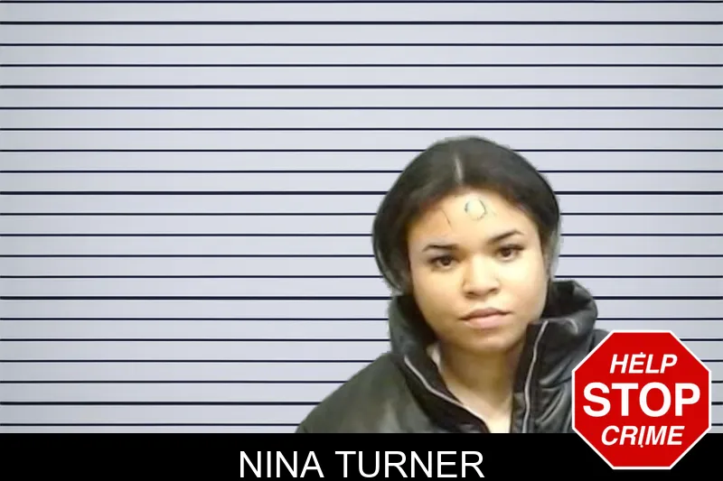 Nina Turner mugshot – Fulton County , Georgia Nina Turner mugshot