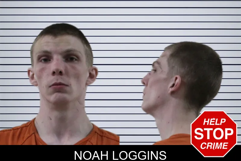 Noah Loggins mugshot