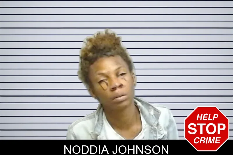 Noddia Johnson mugshot – Fulton County , Georgia Noddia Johnson mugshot