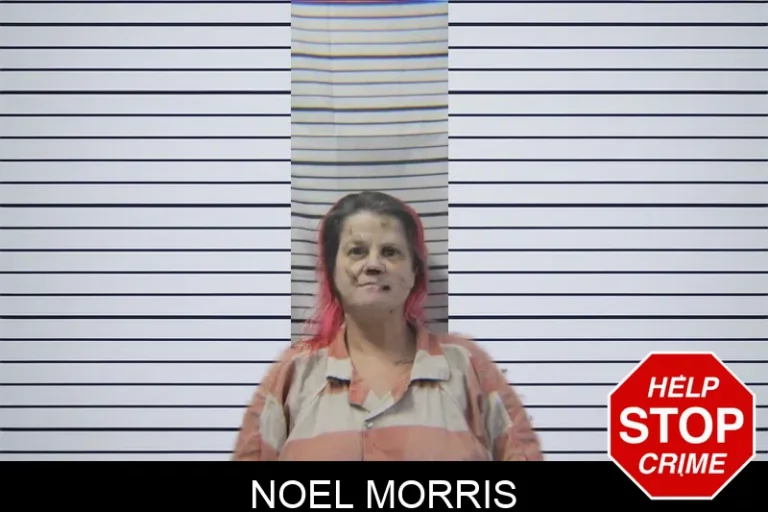 Noel Morris mugshot – Stephens County , Georgia Noel Morris