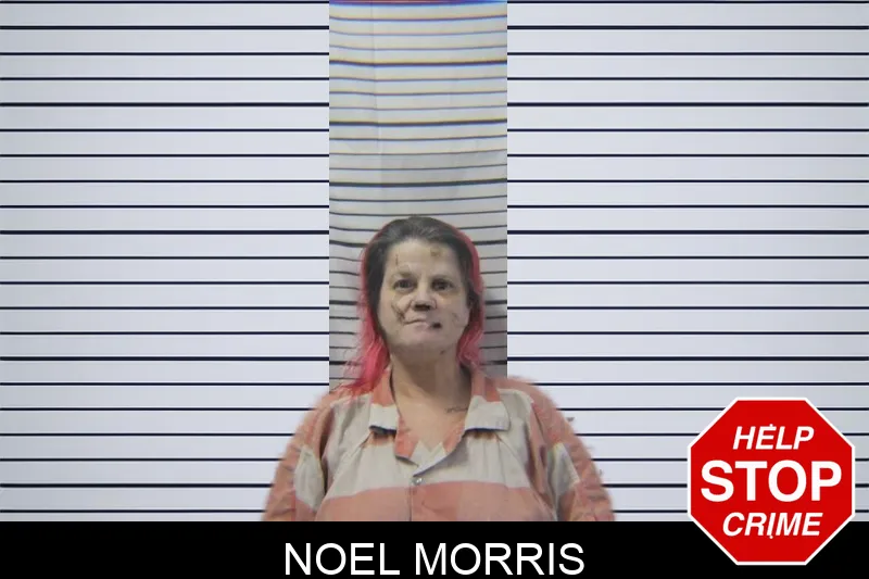 Noel Morris mugshot – Stephens County , Georgia Noel Morris mugshot