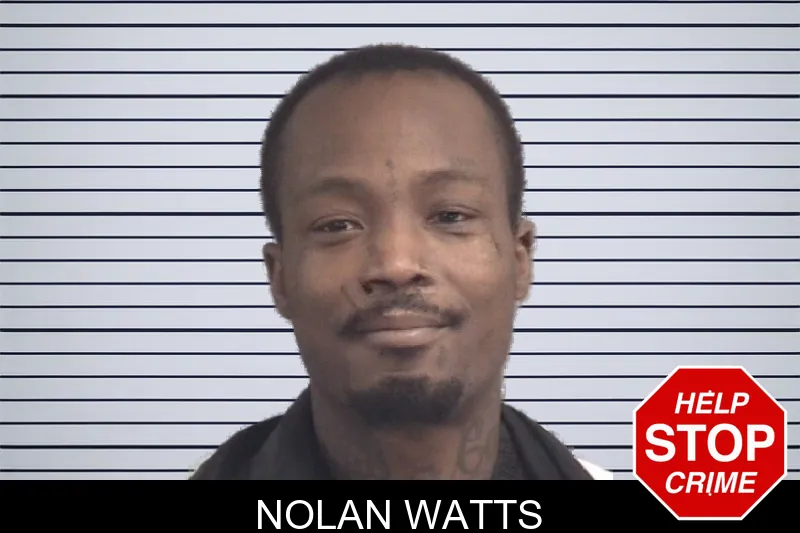 Nolan Watts mugshot