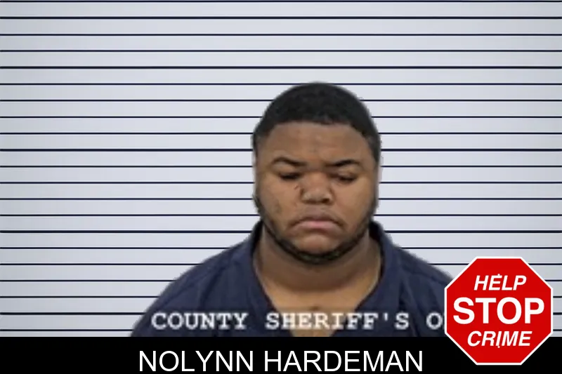 Nolynn Hardeman mugshot – Walton County , Georgia Nolynn Hardeman mugshot