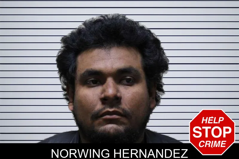 Norwing Hernandez mugshot – Haralson County , Georgia Norwing Hernandez mugshot