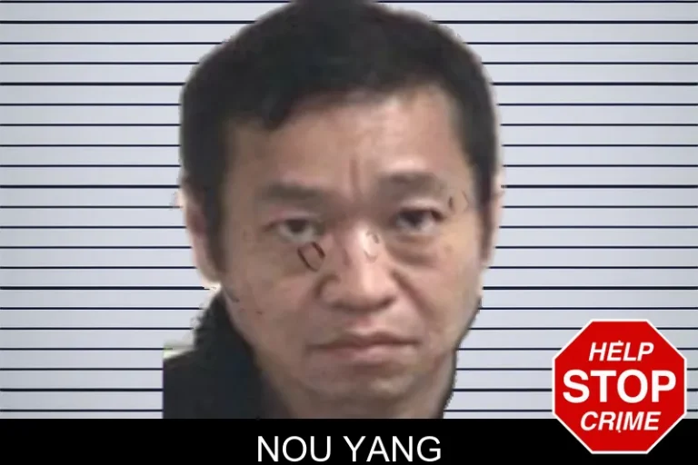 Nou Yang mugshot – Henry County , Georgia Nou Yang
