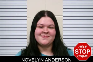 Novelyn Anderson mugshot