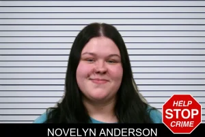 Novelyn Anderson mugshot