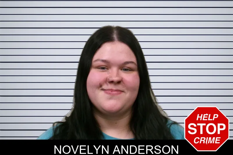 Novelyn Anderson mugshot